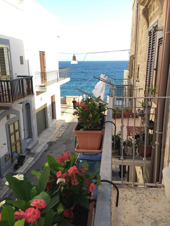 La Casetta Di Babbo Polignano a Mare Rum bild